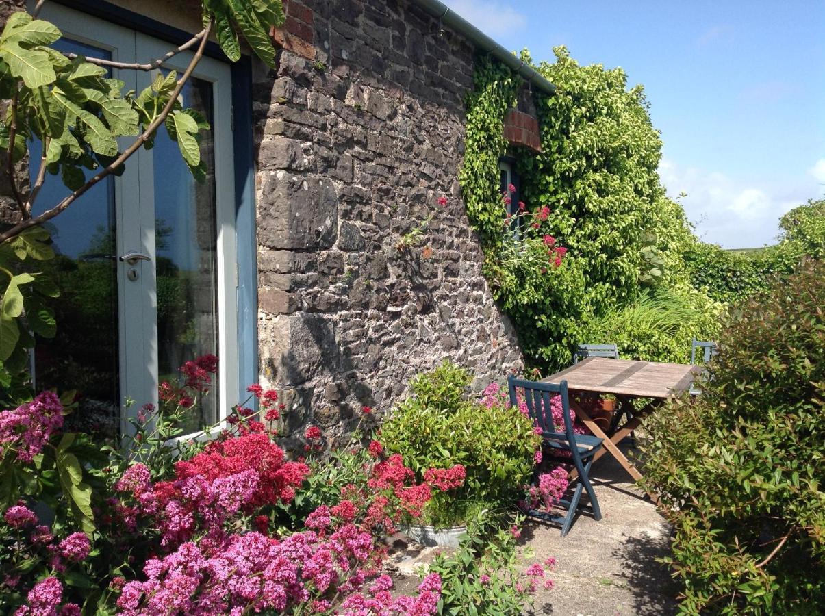 Casa vacanze Potato, Barafundle Barns, Sa71 5ls